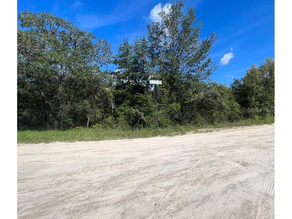 23-12-17 Oak Ridge Estates Blk 27 Lot 1 Williston FL 32696 T3474649 image3