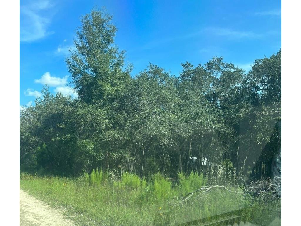 23-12-17 Oak Ridge Estates Blk 8 Lot 27 Williston FL 32696 T3474035 image2