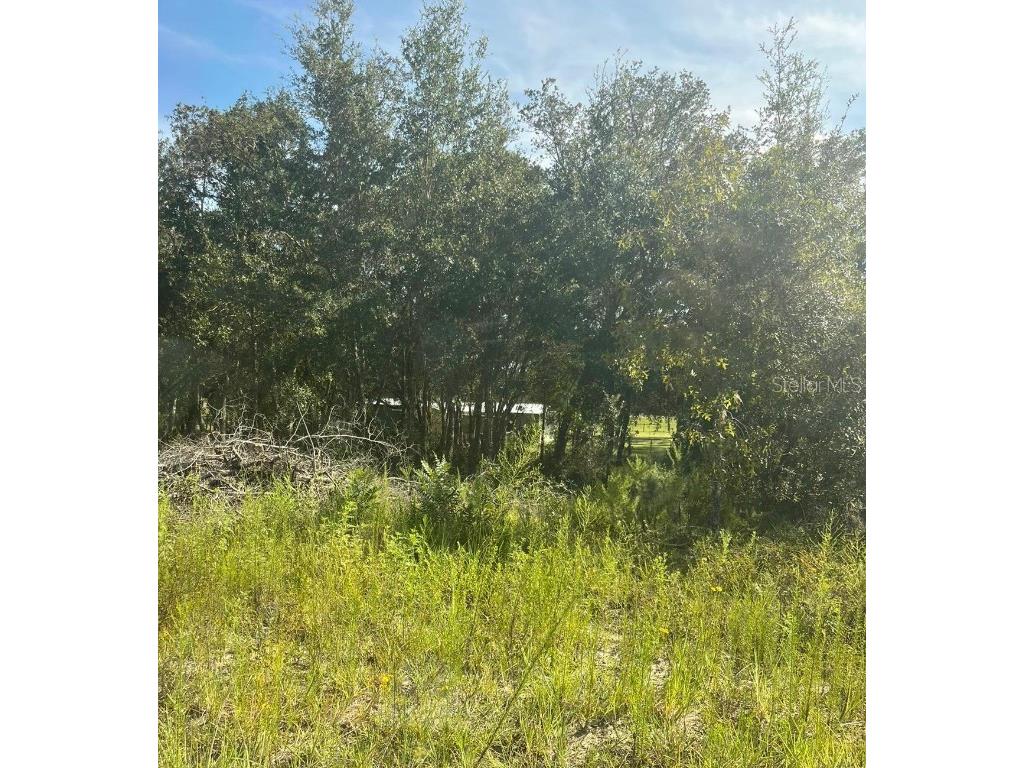 23-12-17 Oak Ridge Estates Blk 8 Lot 27 Williston FL 32696 T3474035 image3