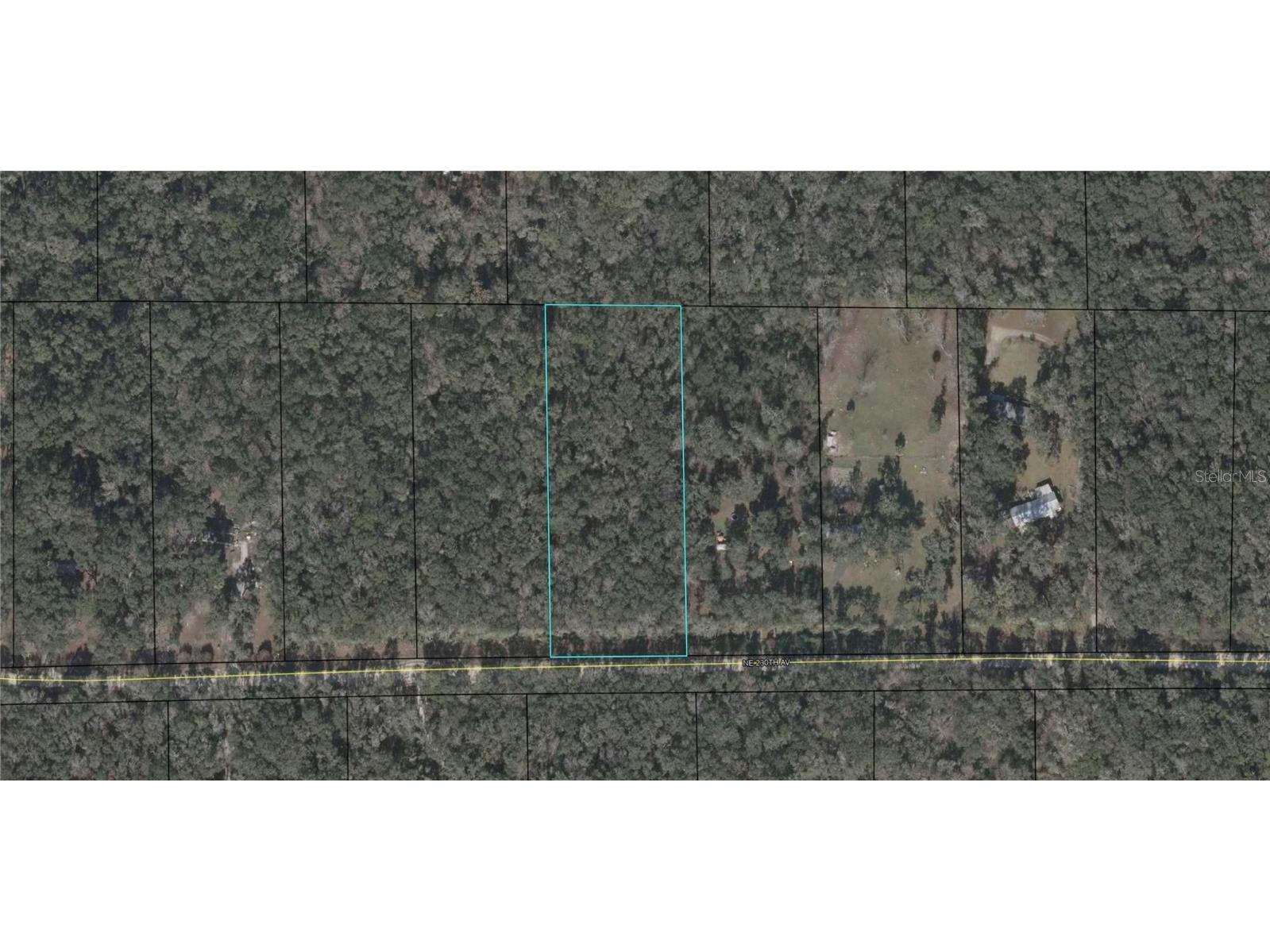 230th Avenue Old Town FL 32680 O6297673 image1