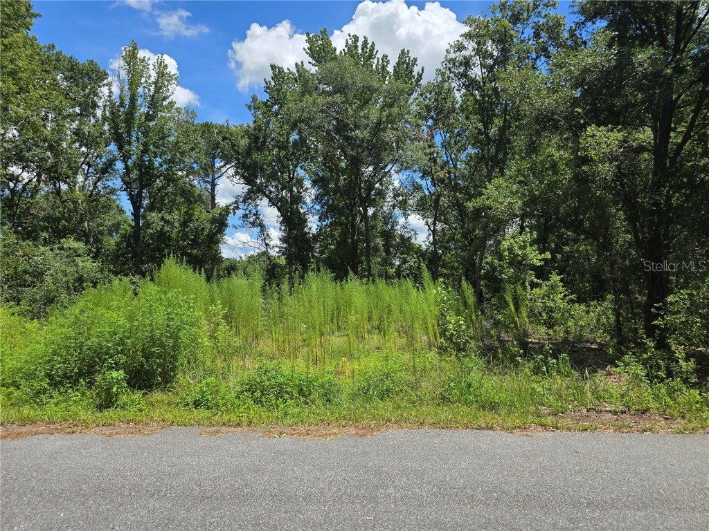 234 Oak Lane Way Ocala FL 34472 OM706185 image1