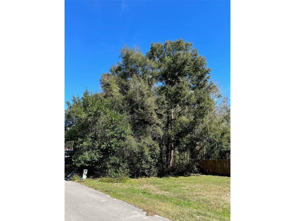 236 Way High Springs FL 32643 GC519081 image1