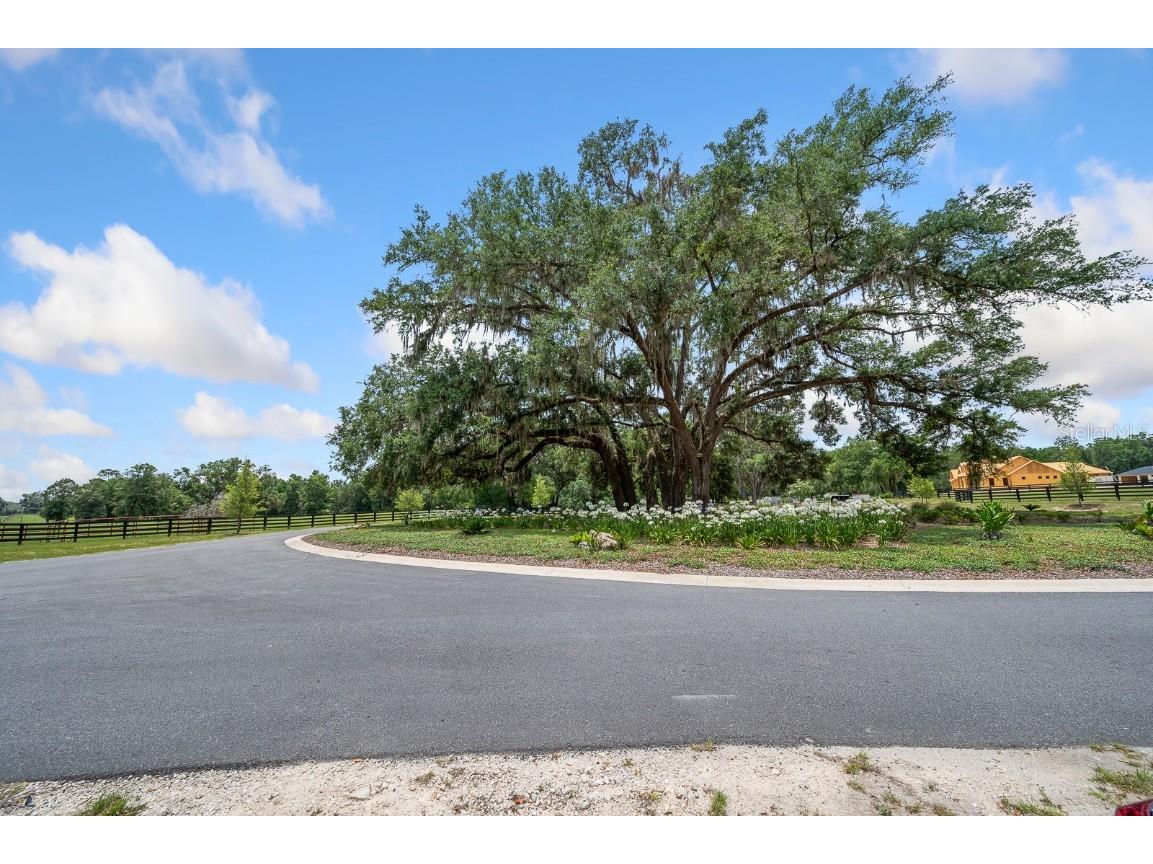 241 Newberry FL 32669 GC531191 image19