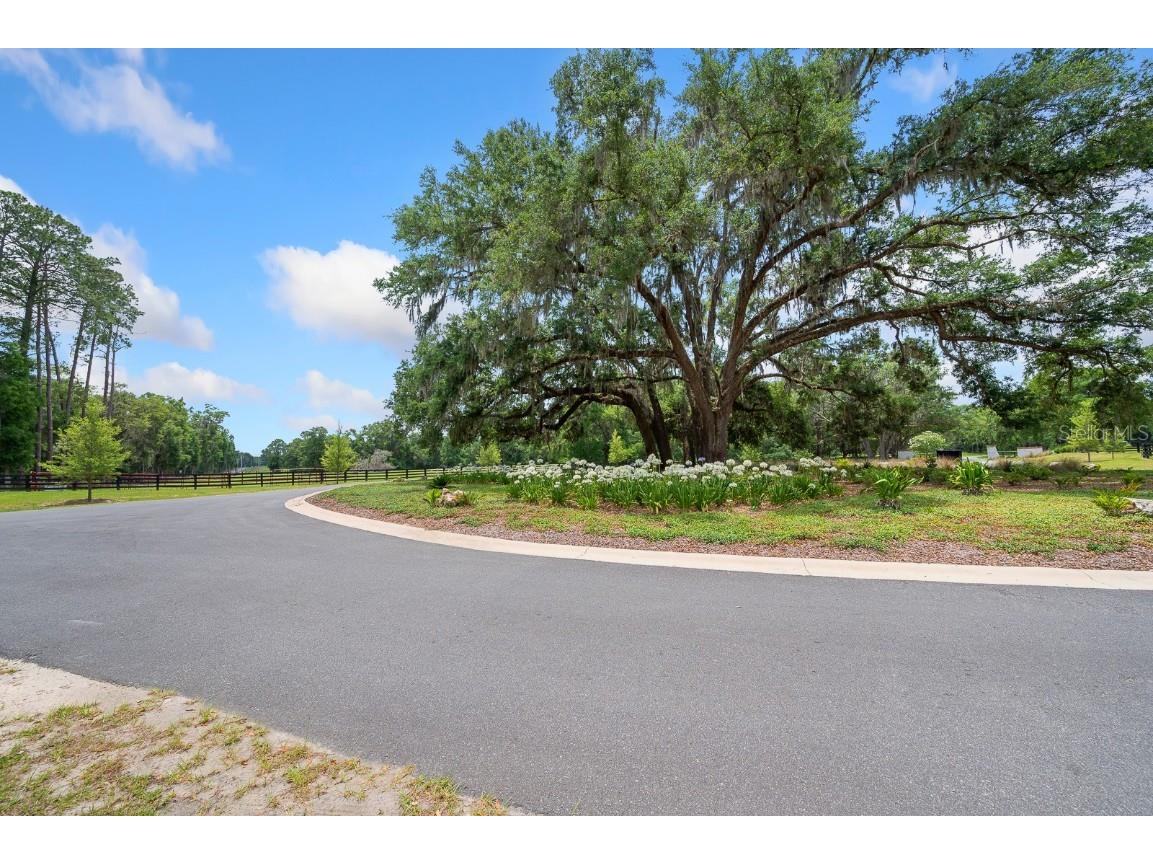 241 Newberry FL 32669 GC531191 image29