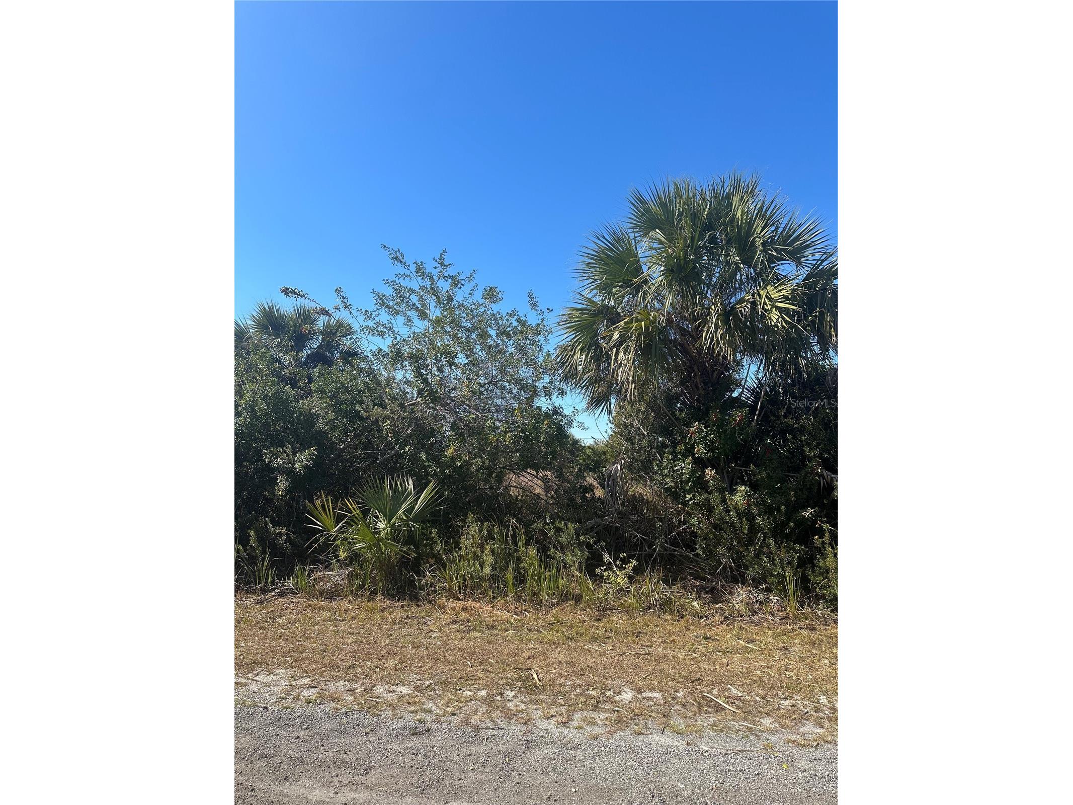 2440 Baron Avenue Sw Palm Bay FL 32908 S5143275 image1