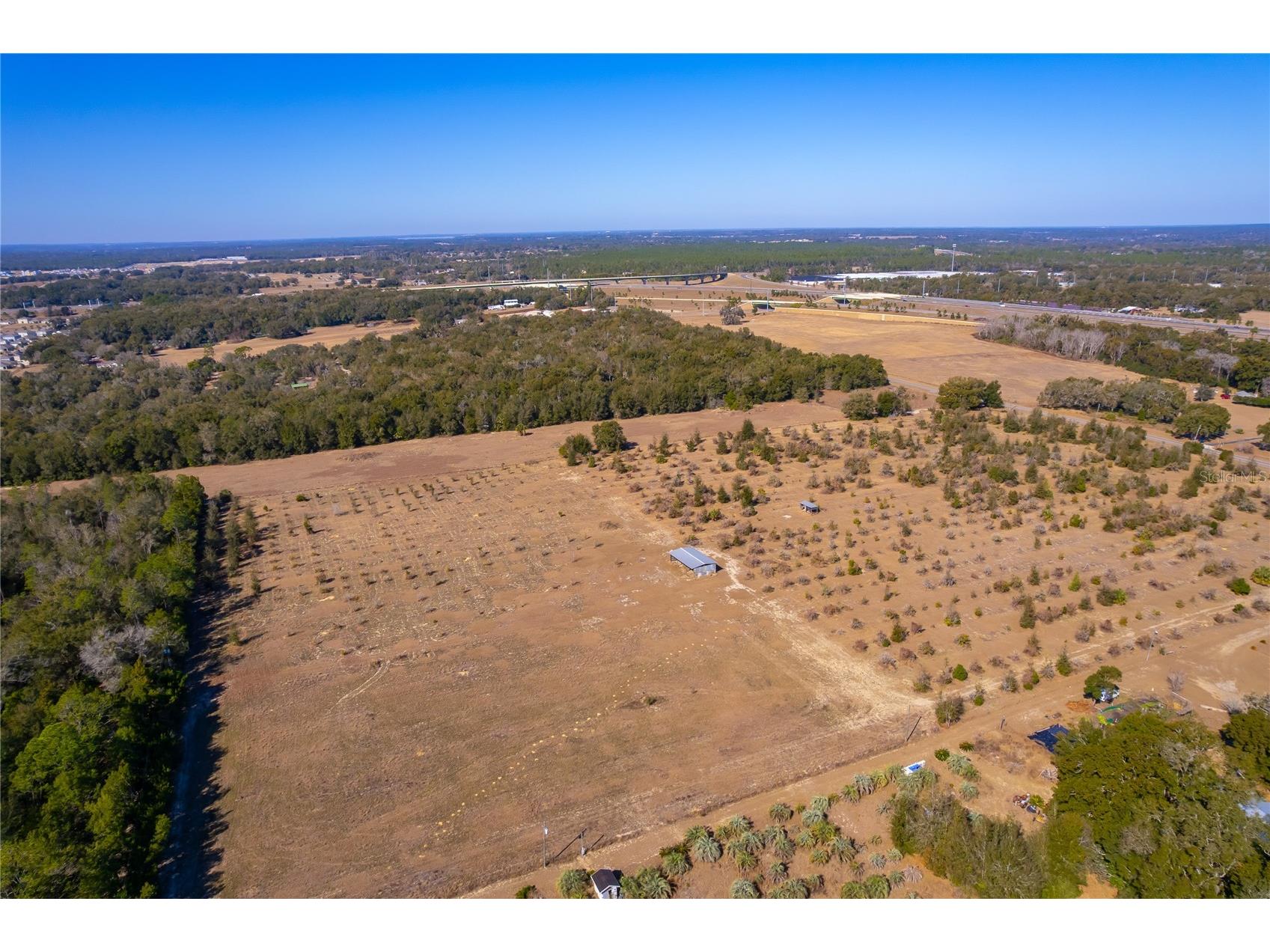 250 Mcguire Rd Apopka FL 32712 S5152740 image9