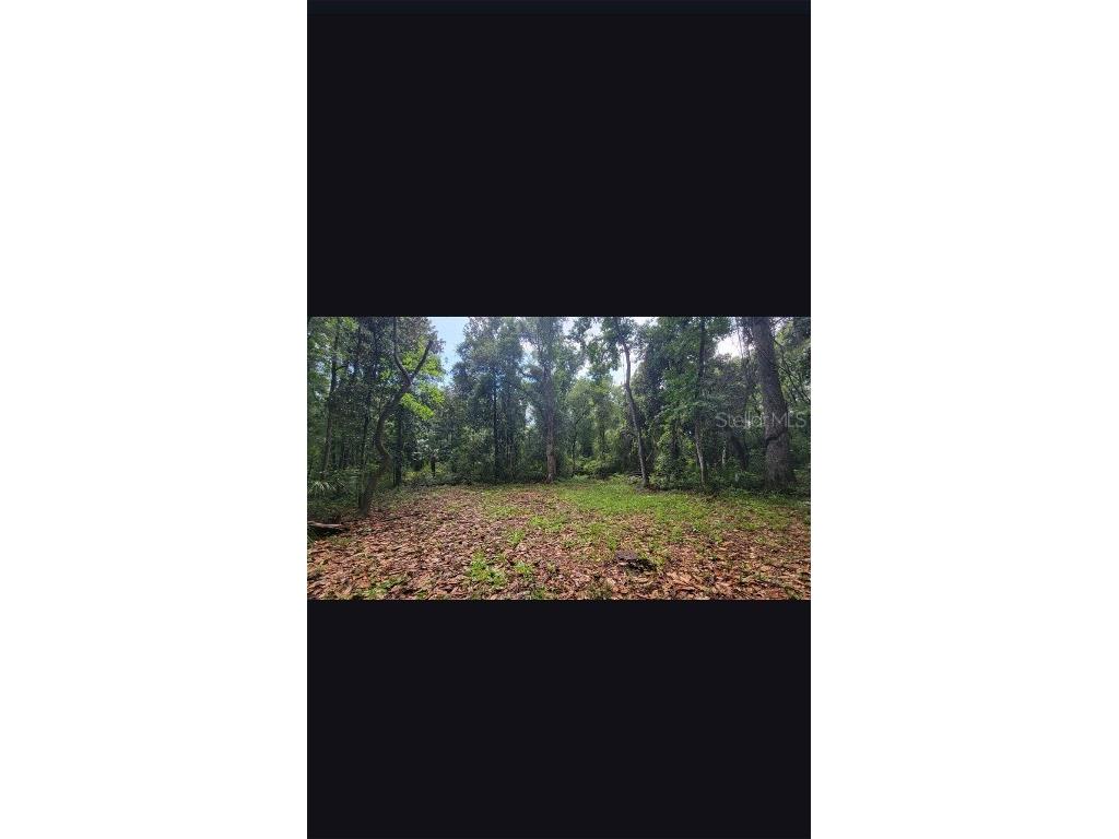 25th Avenue SW Chiefland FL 32626 O6326339 image1