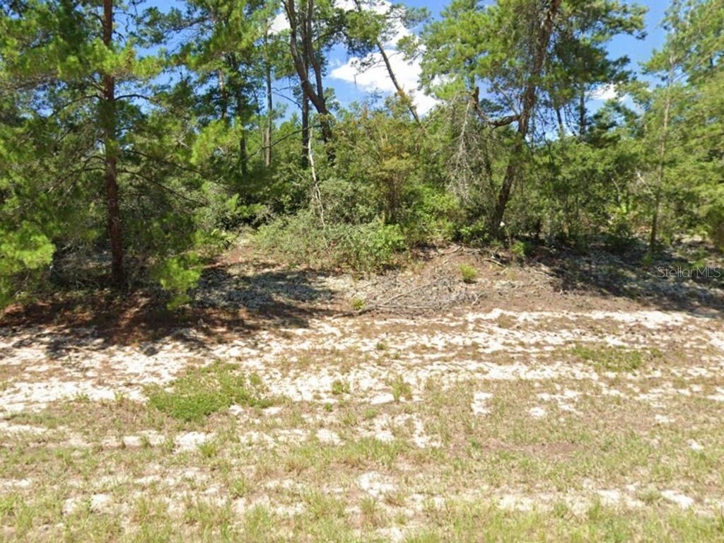 28 Ave Ocala FL 34473 C7479006 image1