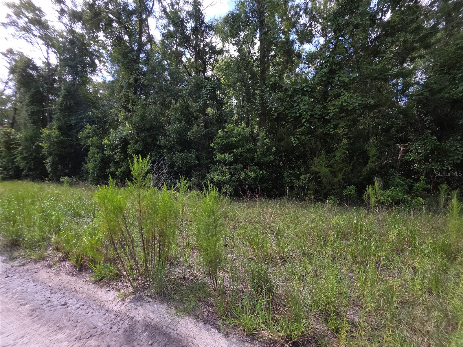 280 Terrace Branford FL 32008 GC532778 image1