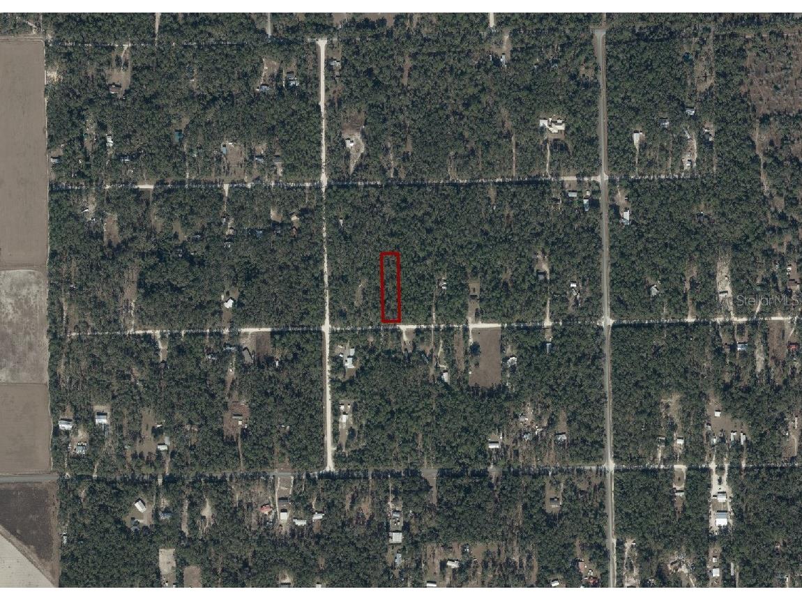 282nd Terrace Branford FL 32008 A4697581 image3