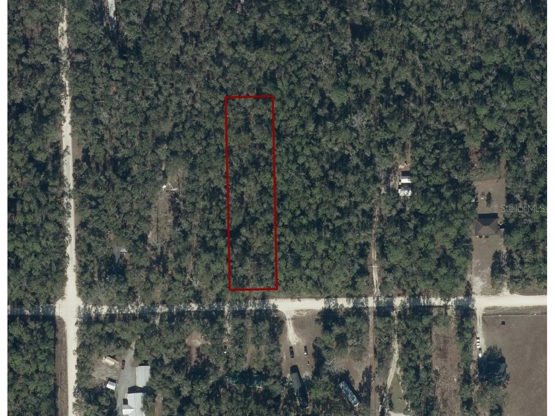 282nd Terrace Branford FL 32008 A4697581 image4
