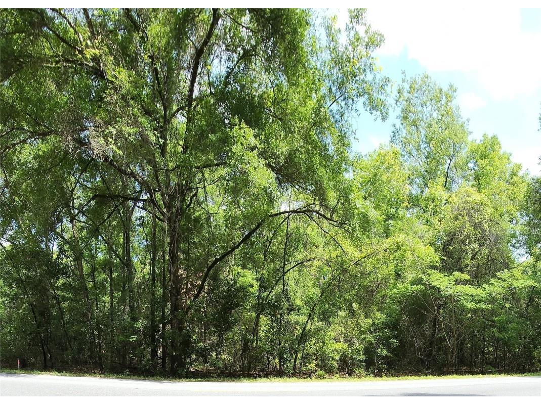 284th Street, Branford, FL, 32008 MLS GC504190 Edina Realty