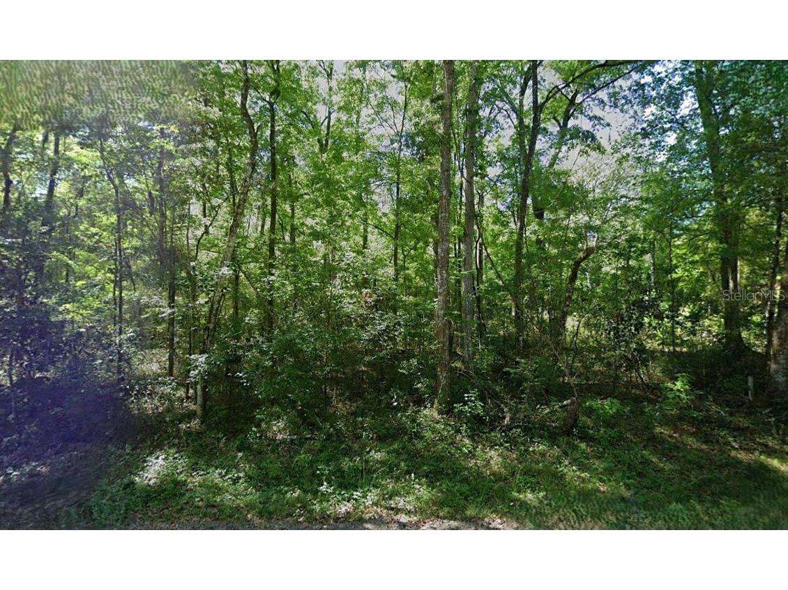288th Street Branford FL 32008 O6302641 image1