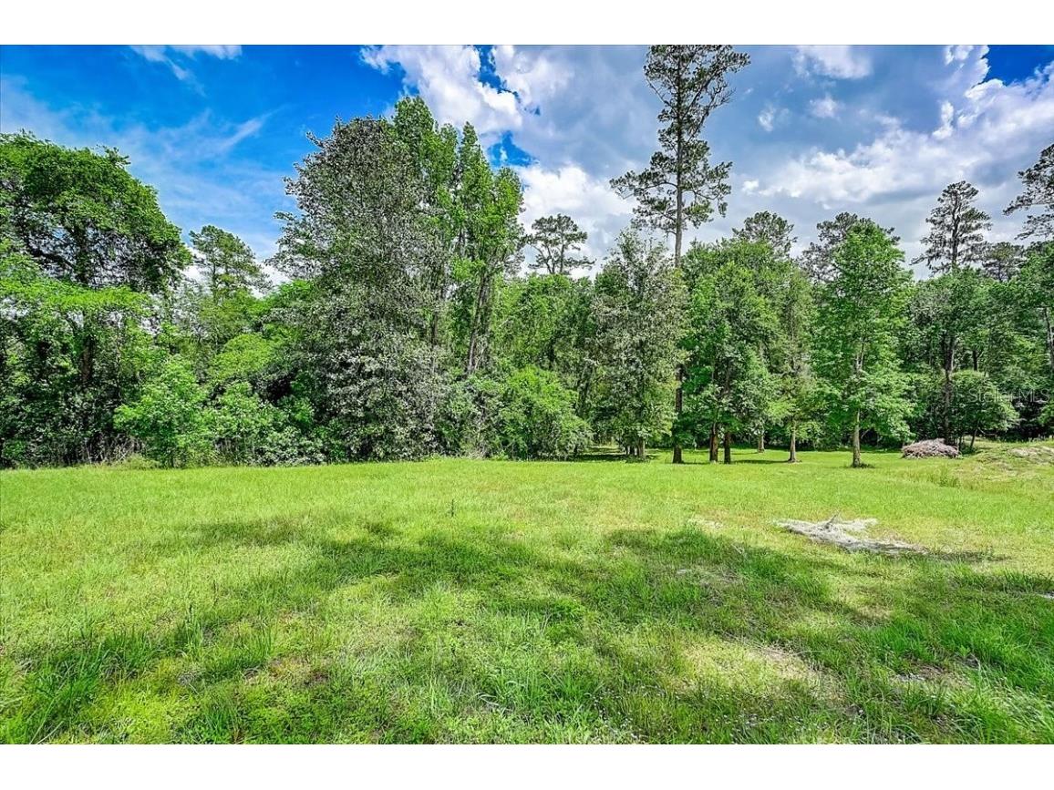 29319 Nw County Road 241 Alachua FL 32615 O6103467 image1