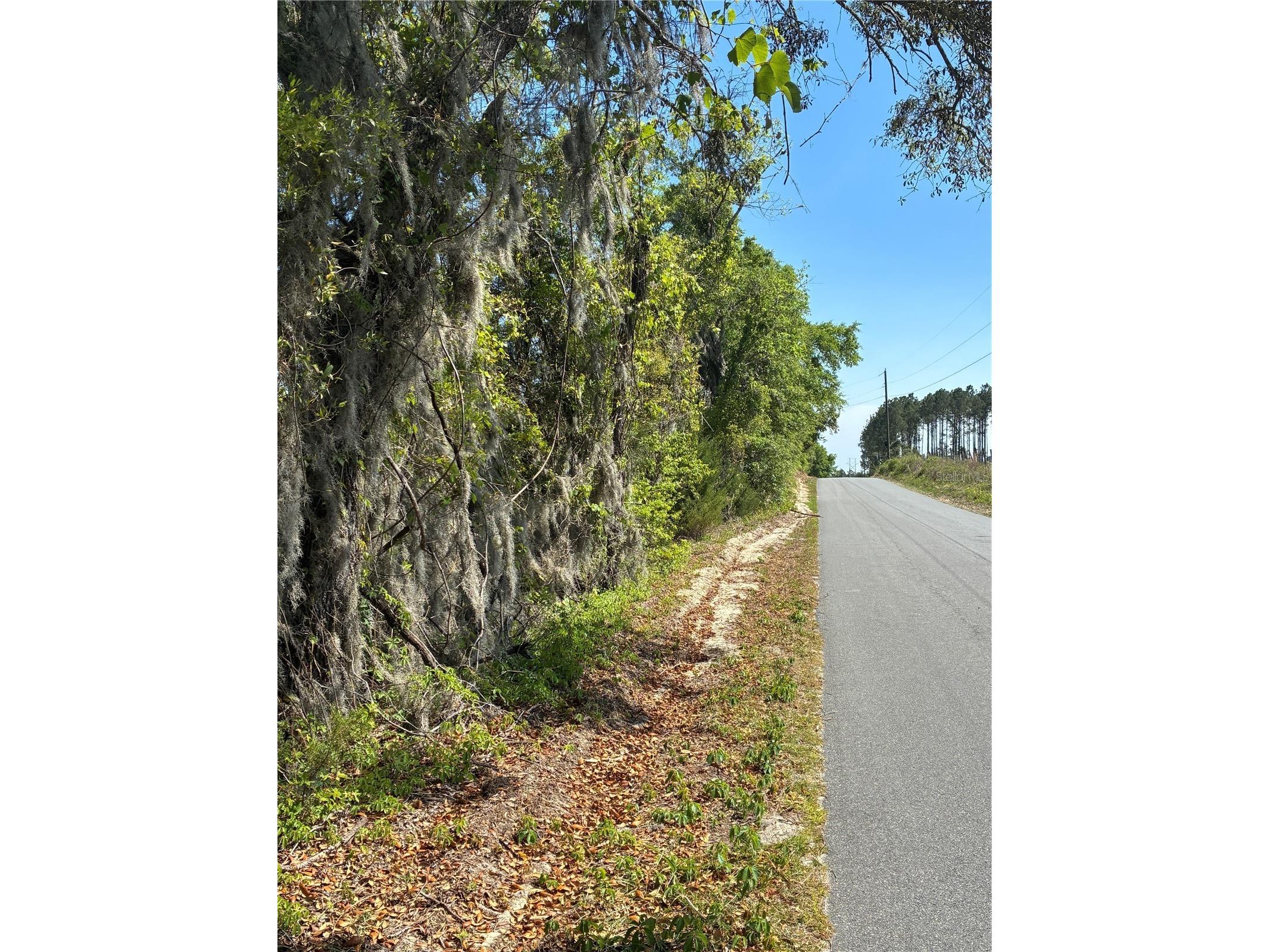 298th Street Newberry FL 32669 GC539732 image2