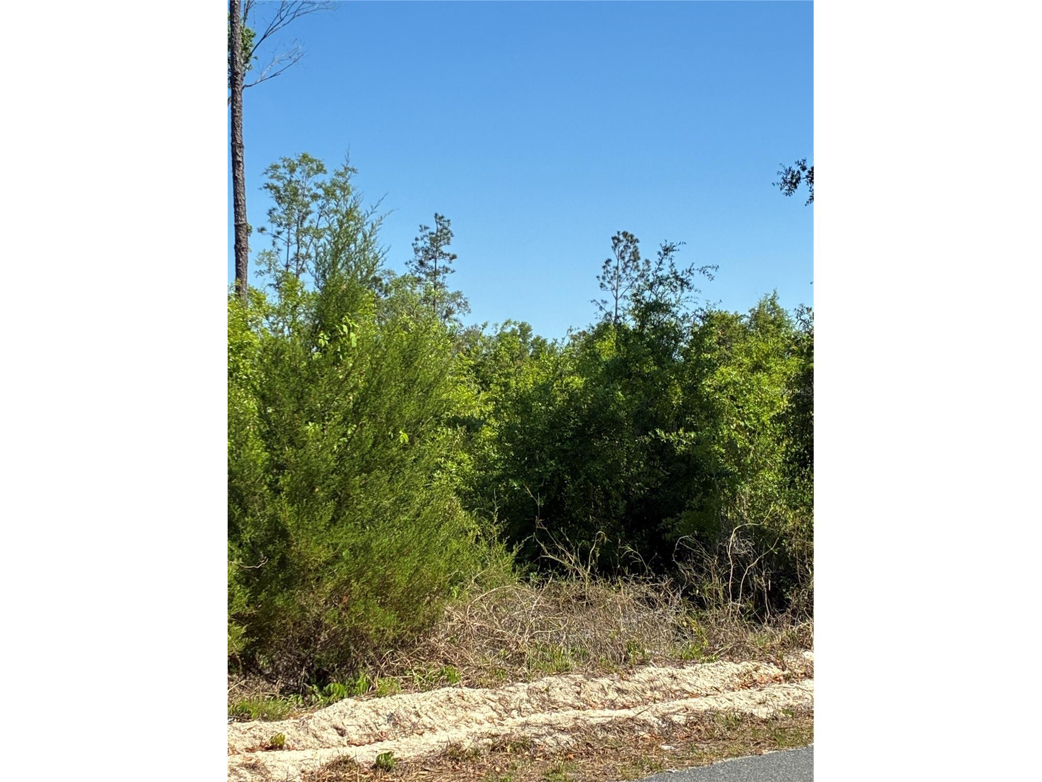 298th Street Newberry FL 32669 GC539732 image4
