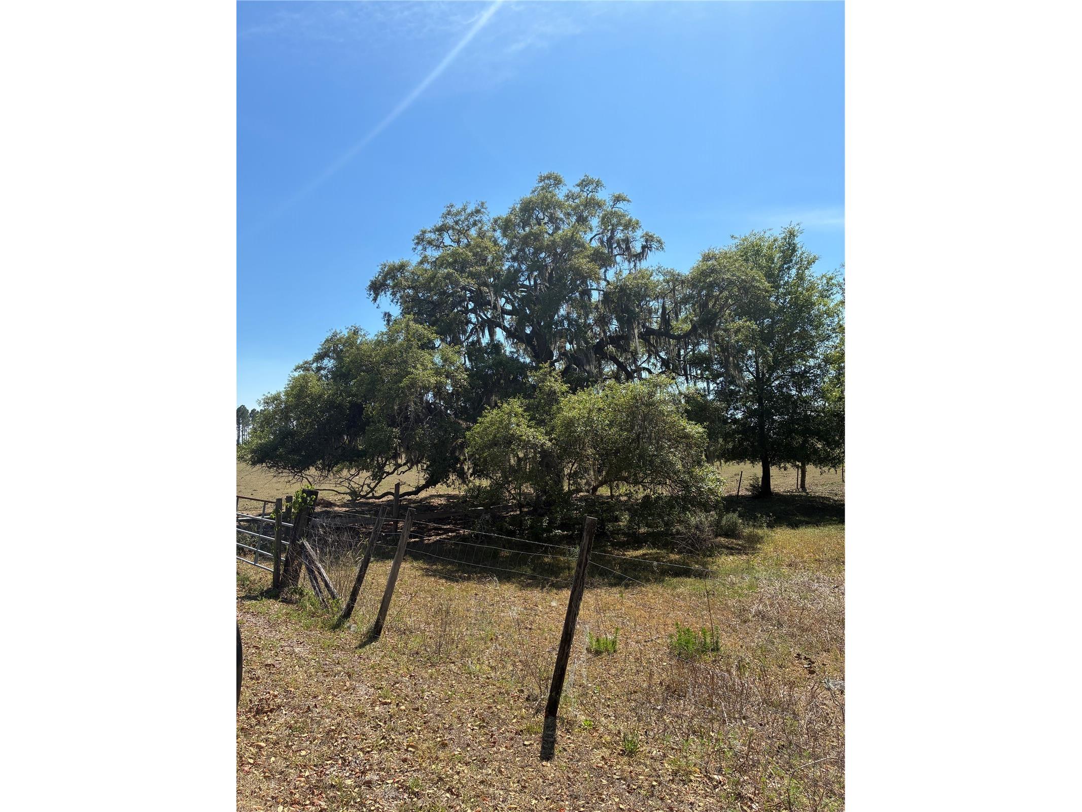 298th Street Newberry FL 32669 GC539732 image5