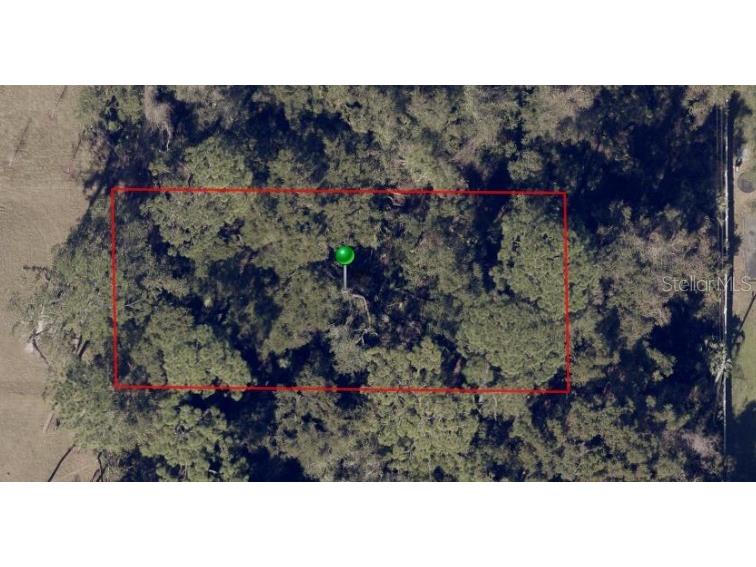 2nd Street Deland FL 32720 V4947083 image14