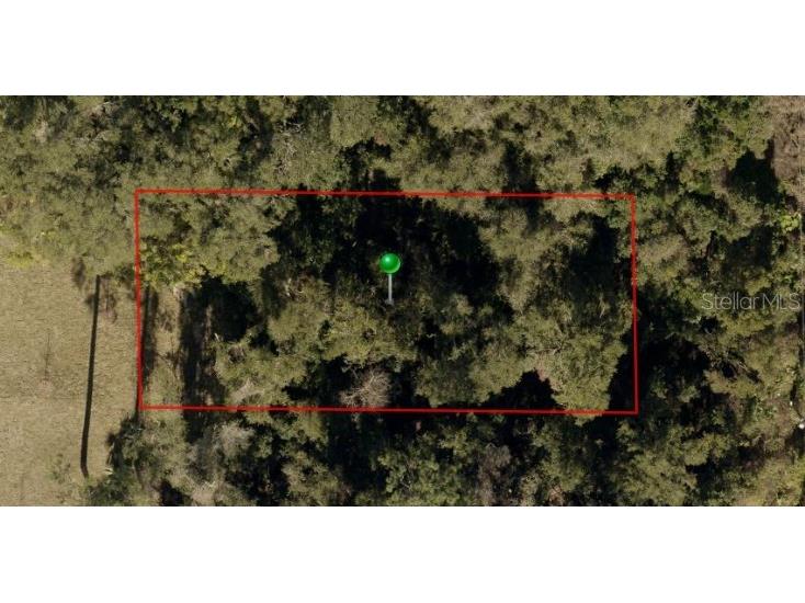 2nd Street Deland FL 32720 V4947083 image20