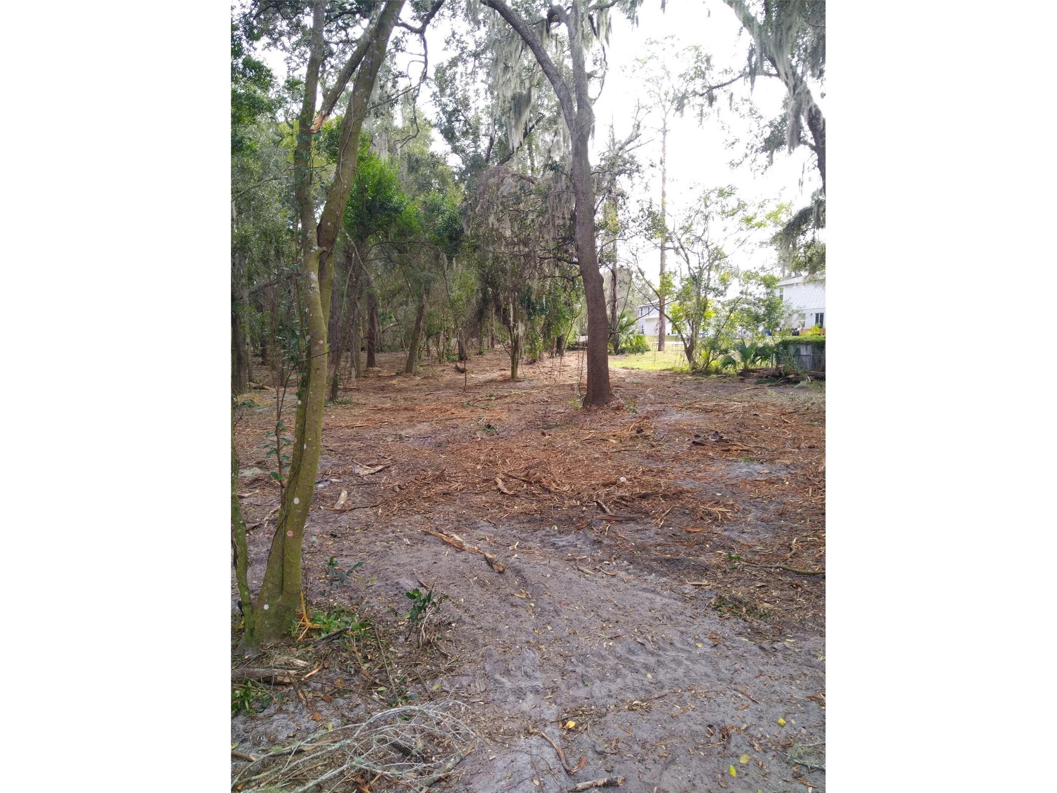 2nd Street Deland FL 32720 V4947083 image3