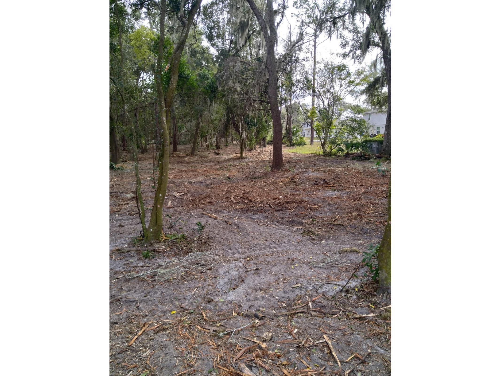 2nd Street Deland FL 32720 V4947083 image5