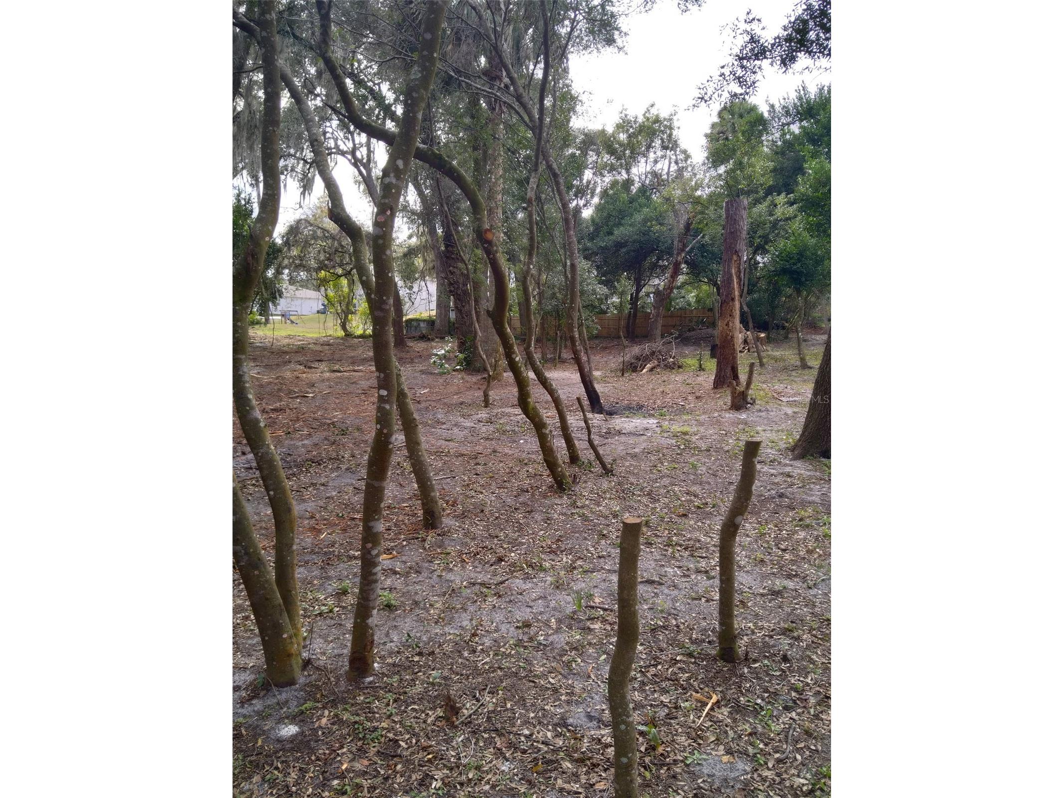 2nd Street Deland FL 32720 V4947083 image6