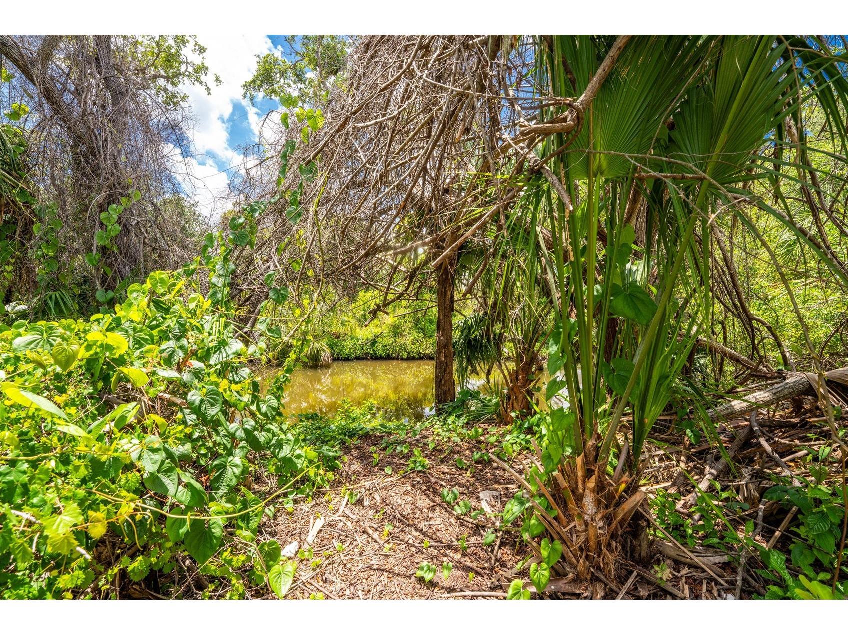2nd Street Englewood FL 34223 - FORKED CREEK D6147594 image17
