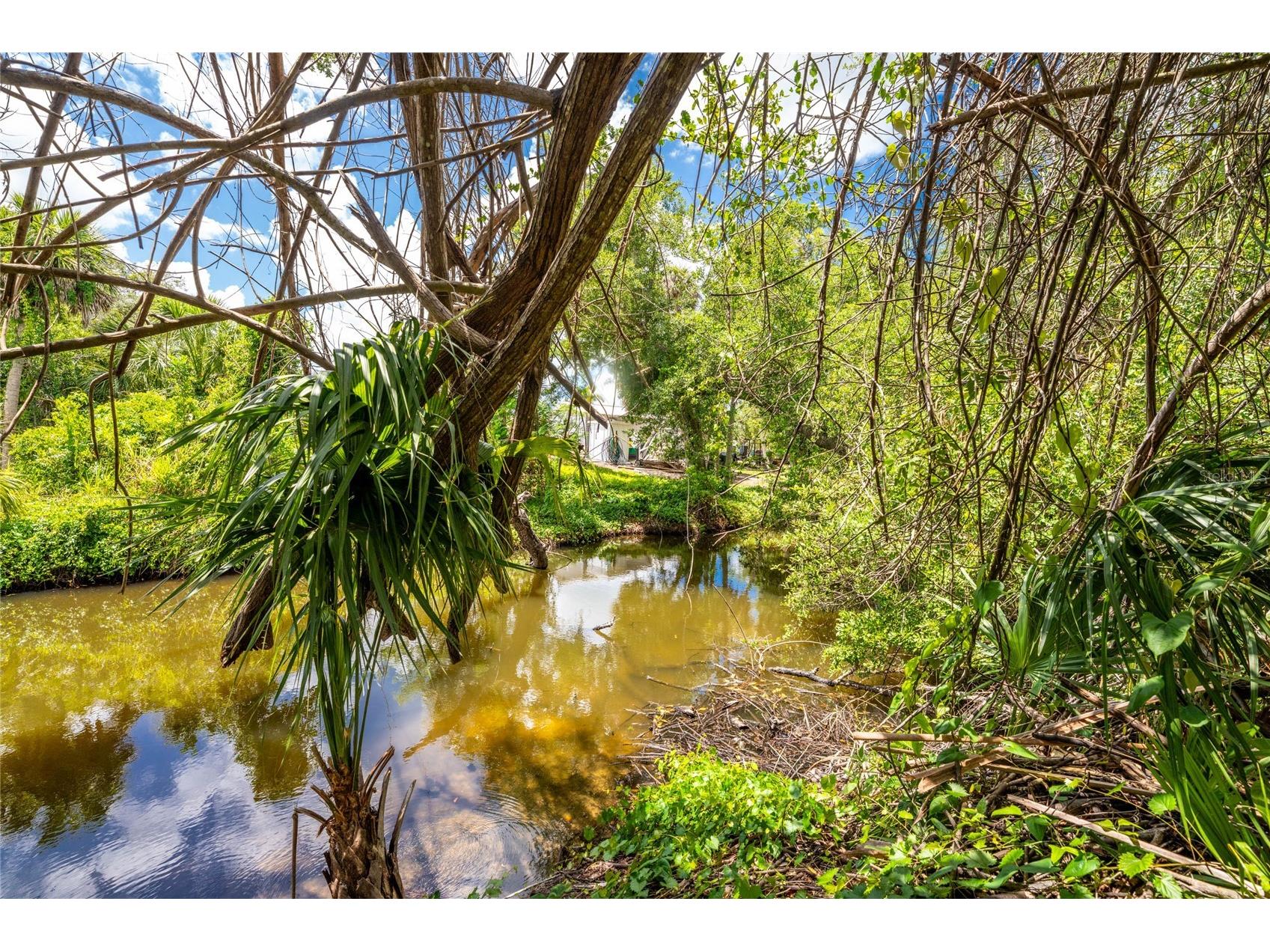 2nd Street Englewood FL 34223 - FORKED CREEK D6147594 image18