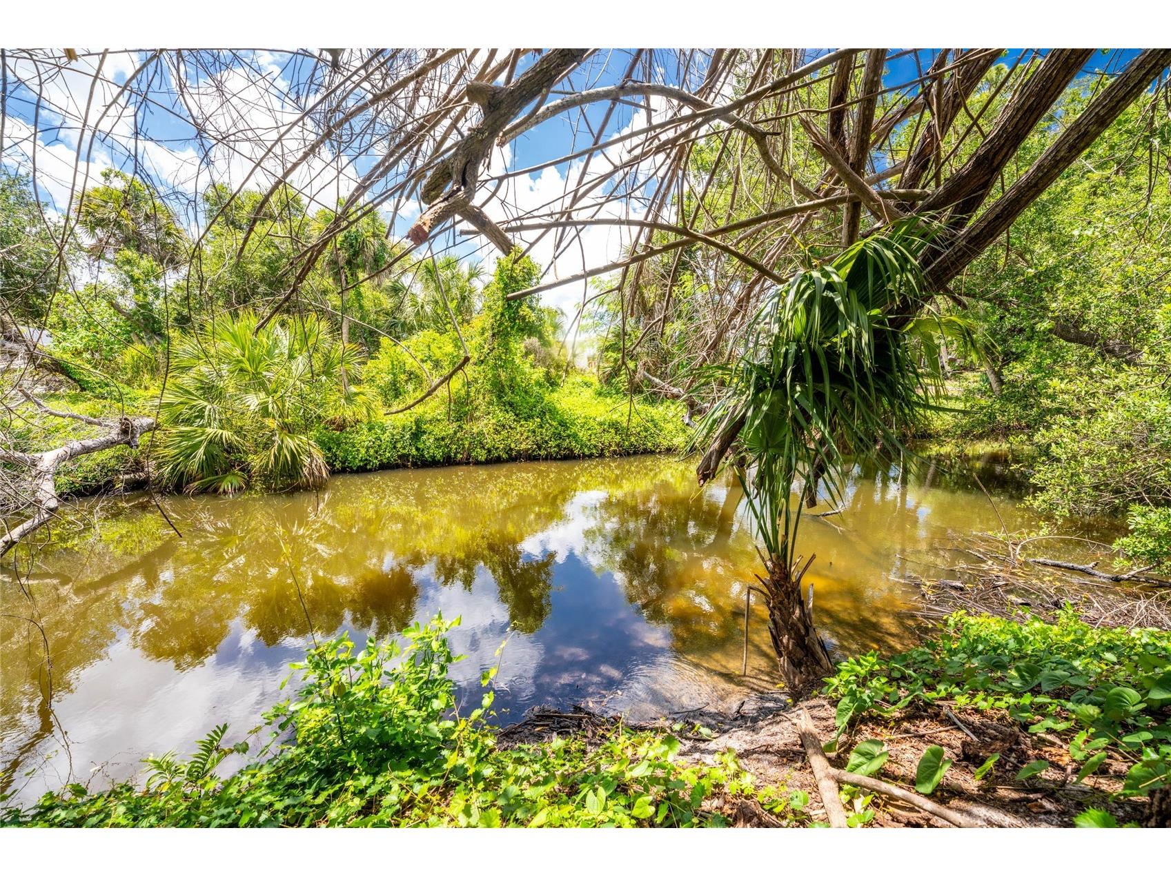 2nd Street Englewood FL 34223 - FORKED CREEK D6147594 image2