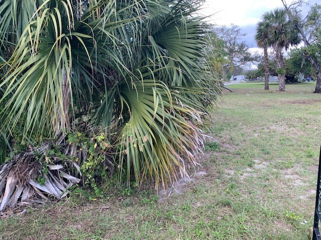 2nd Street NW Winter Haven FL 33881 P4923557 image1