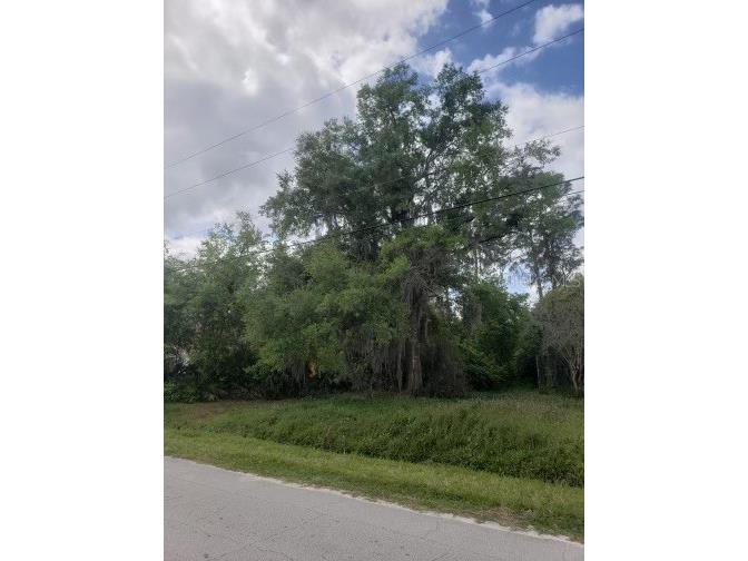 3 Avenue Deland FL 32724 V4929328 image1