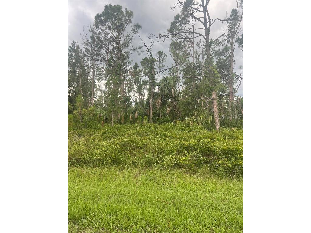#3 Bignay Road North Port FL 34288 N6127111 image1
