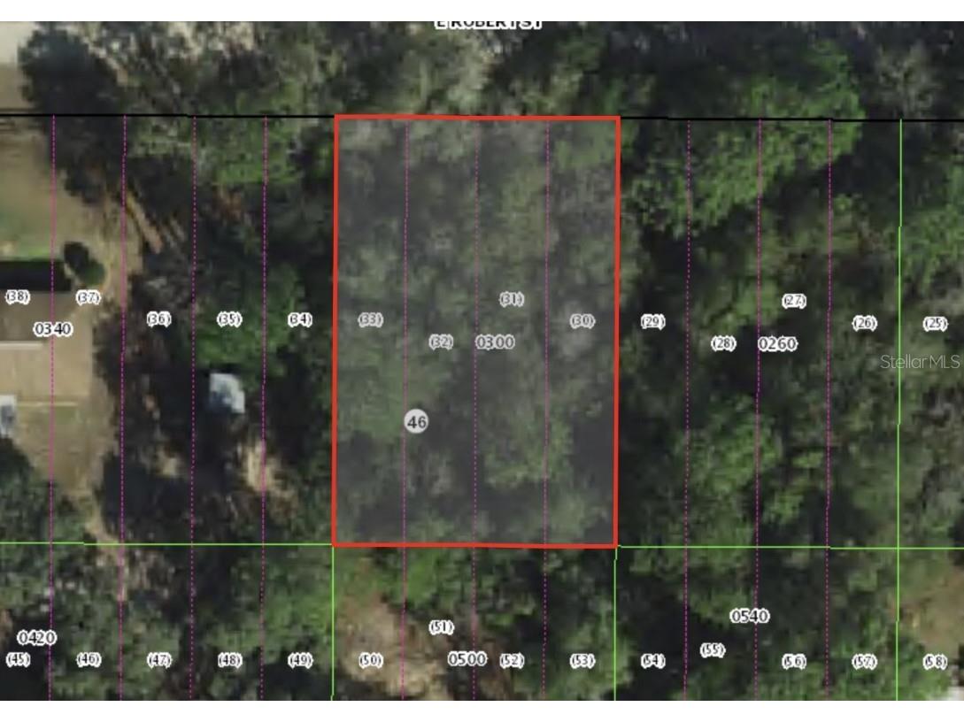 3046 E Robert St Inverness FL 34453 OM711326 image1