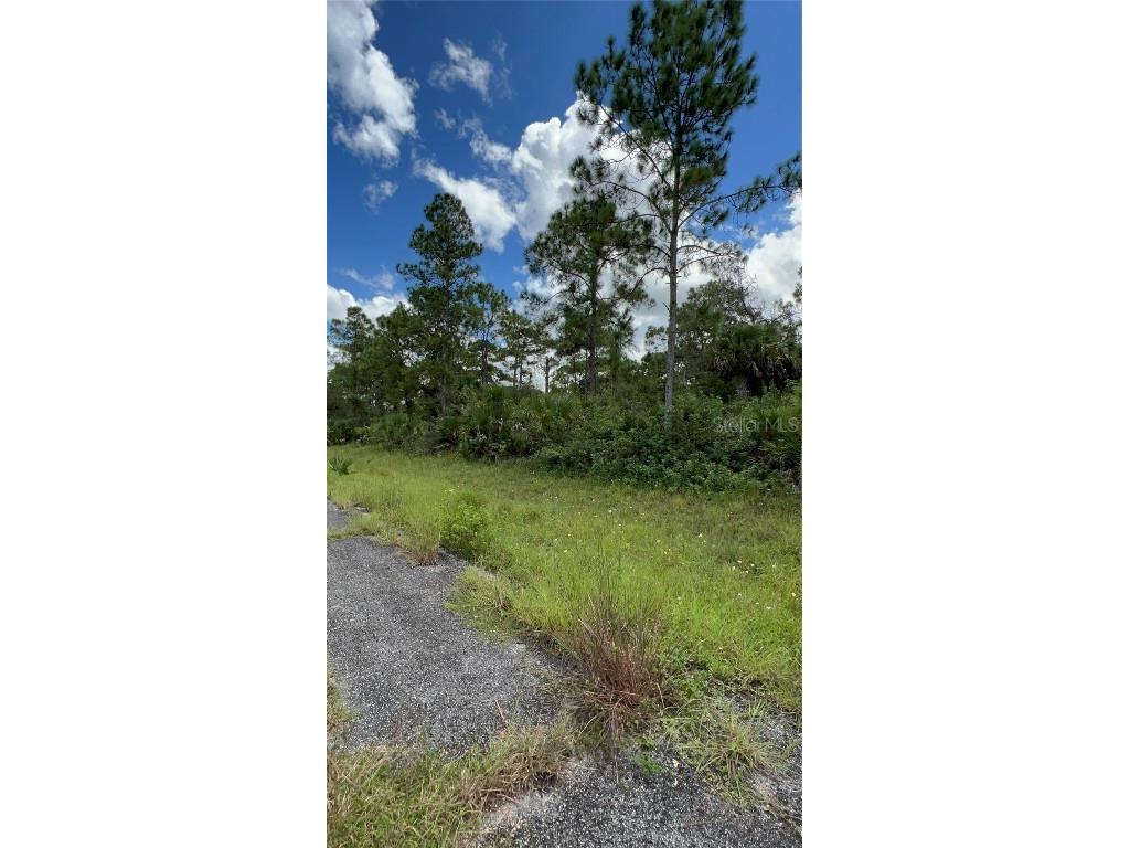 313 James Irwin Terrace Labelle FL 33935 T3552881 image3