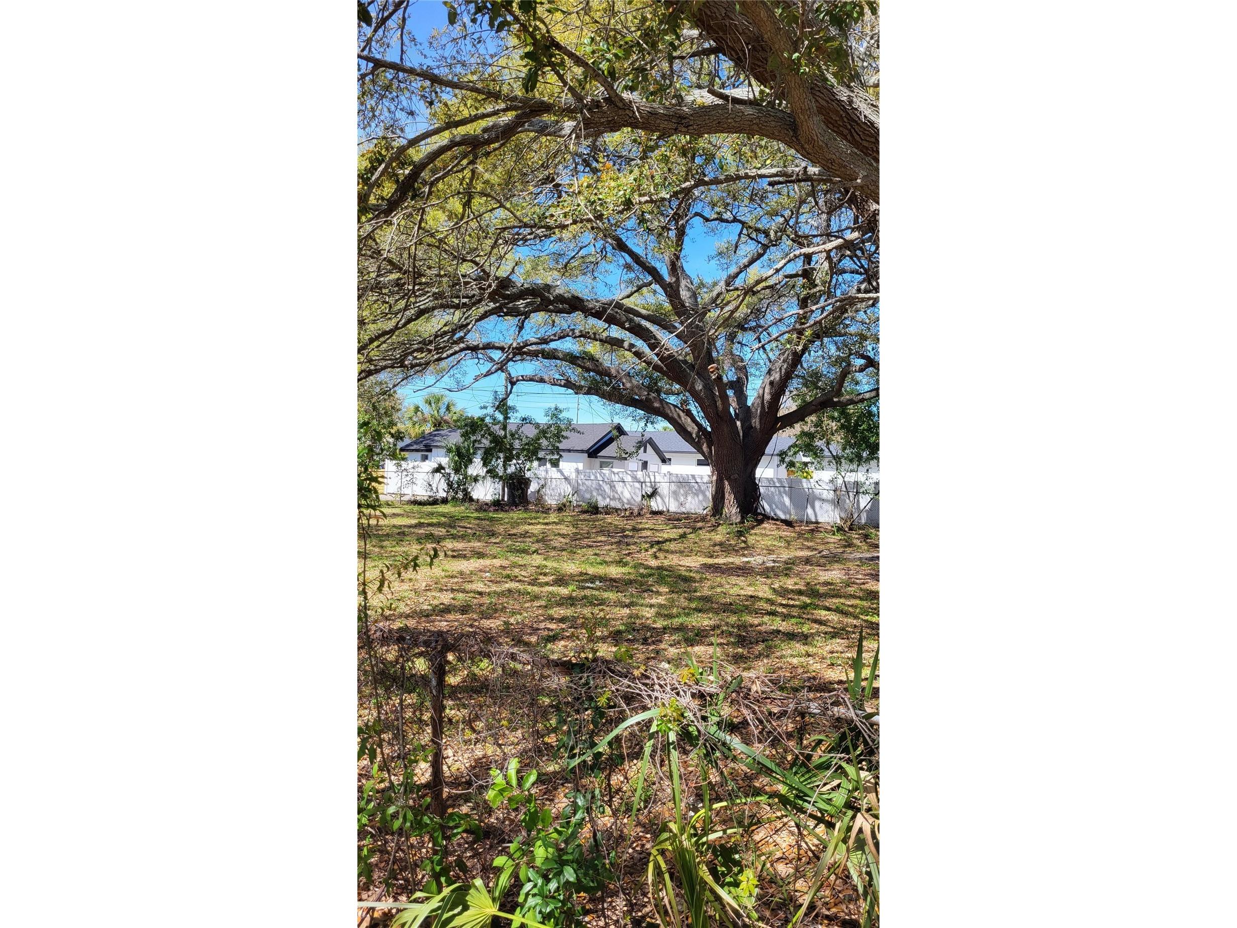 31st Street S Saint Petersburg FL 33712 U8213887 image9