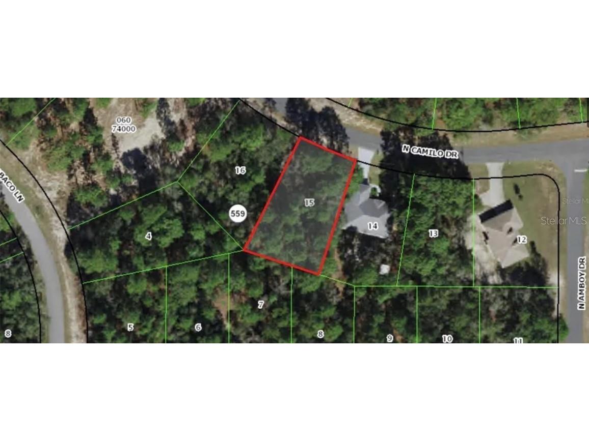 3228 W Camilo Dr Citrus Springs FL 34433 TB8400003 image1