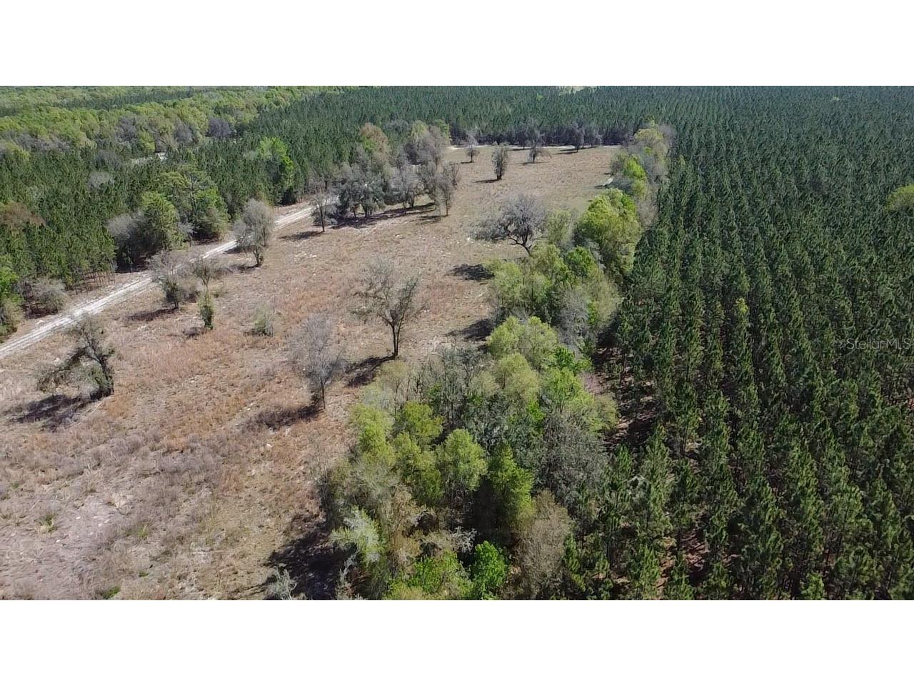 000 SW Langelier Fort White FL 32038 GC538777 image1
