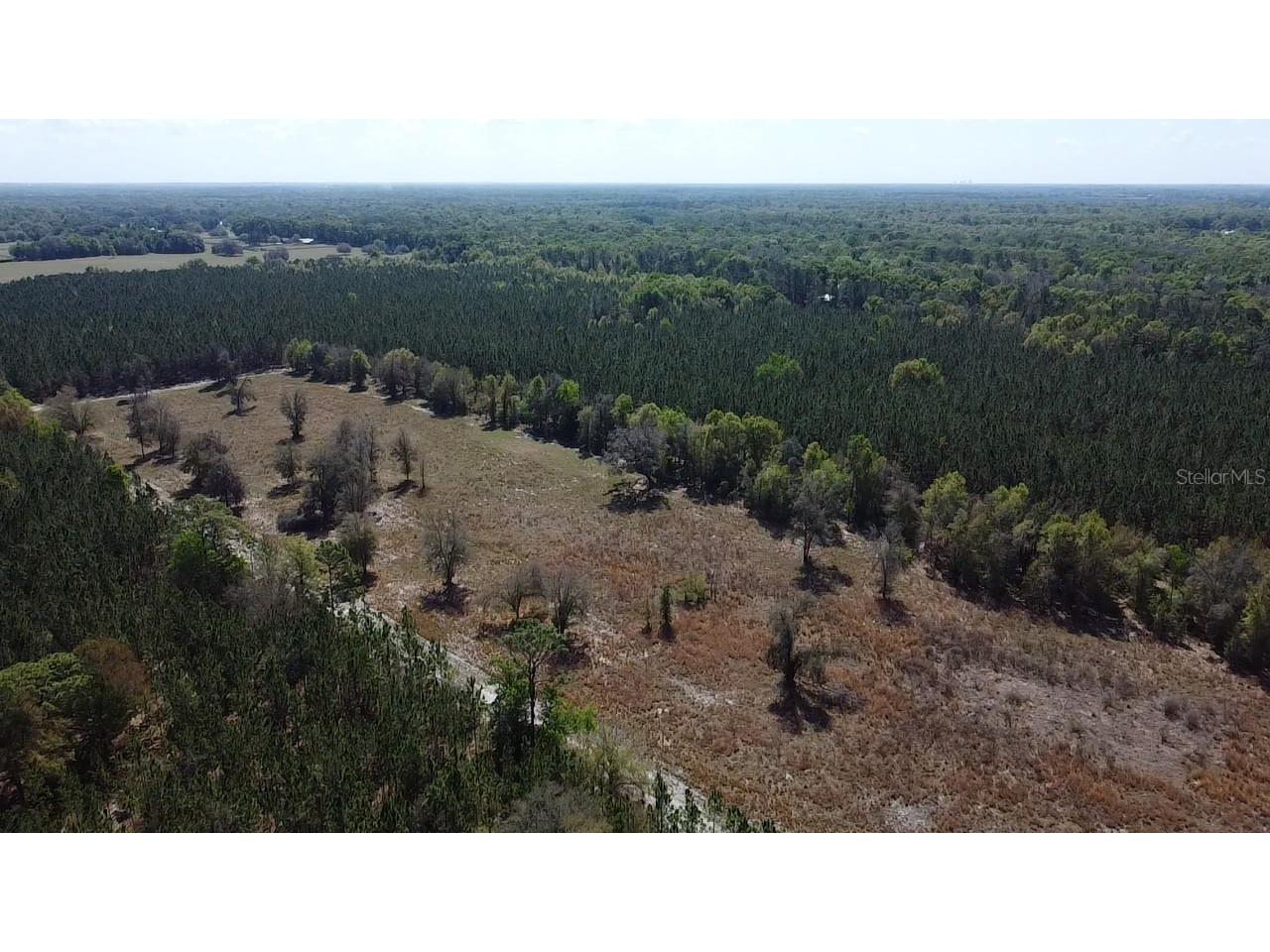 000 SW Langelier Fort White FL 32038 GC538777 image3