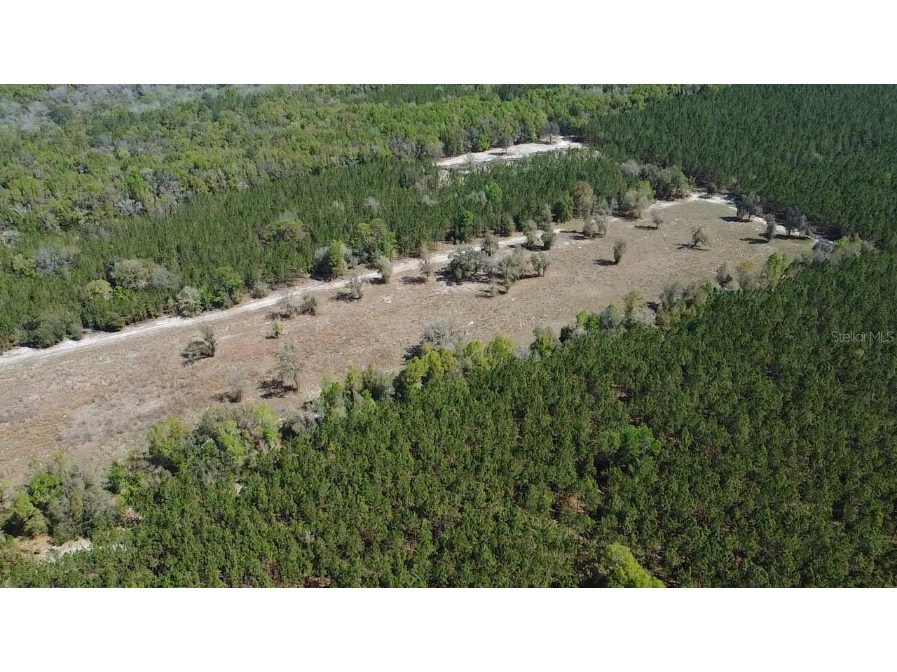 000 SW Langelier Fort White FL 32038 GC538777 image30