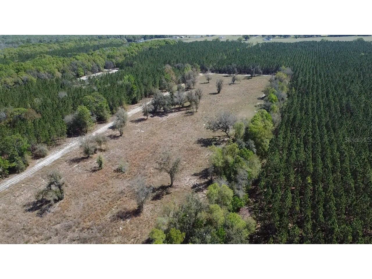 000 SW Langelier Fort White FL 32038 GC538777 image8