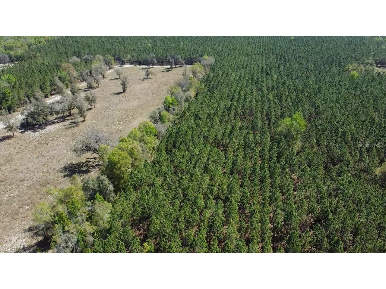 000 SW Langelier Fort White FL 32038 GC538777 image9