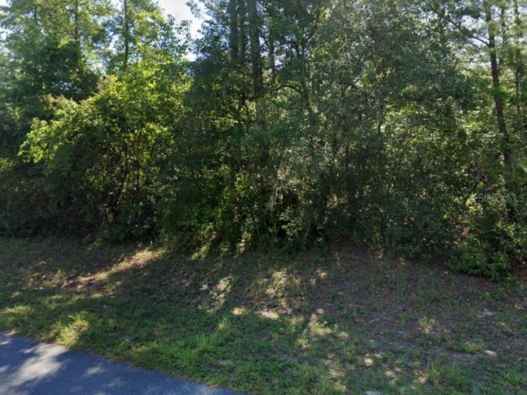 36th Court Ocala FL 34473 C7479011 image1