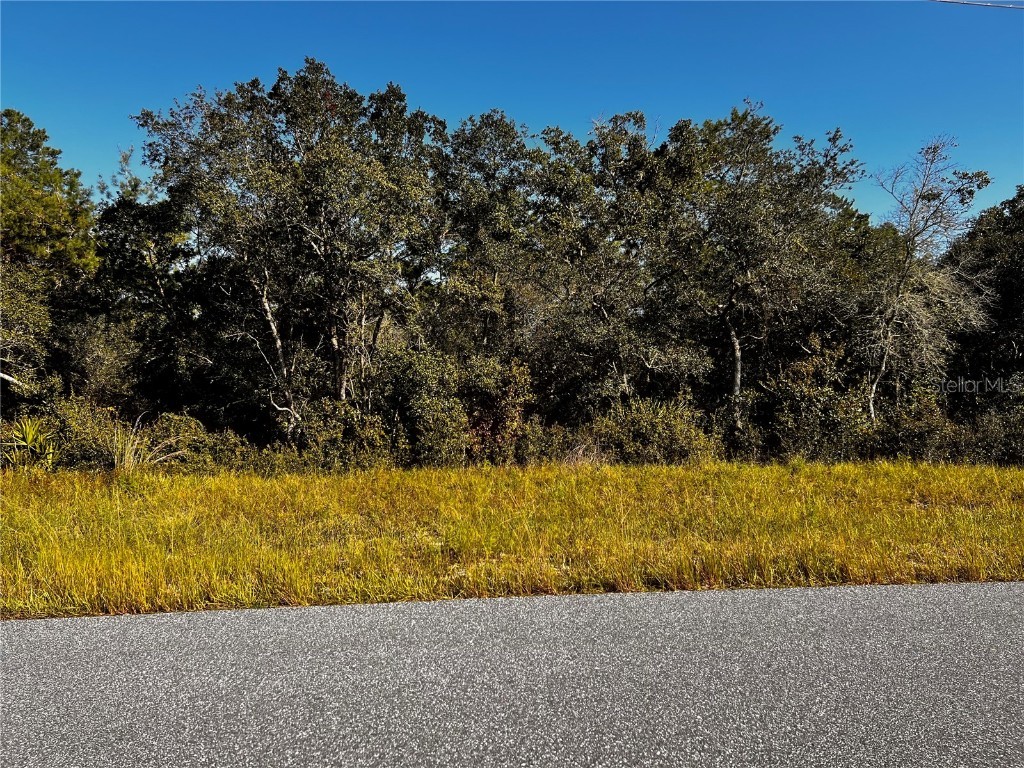 39 Cir Ocala FL 34473 S5092775 image1