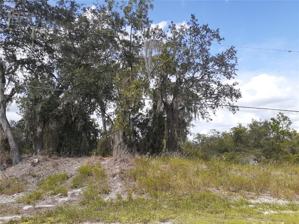 3rd Avenue Babson Park FL 33827 K4902289 image1