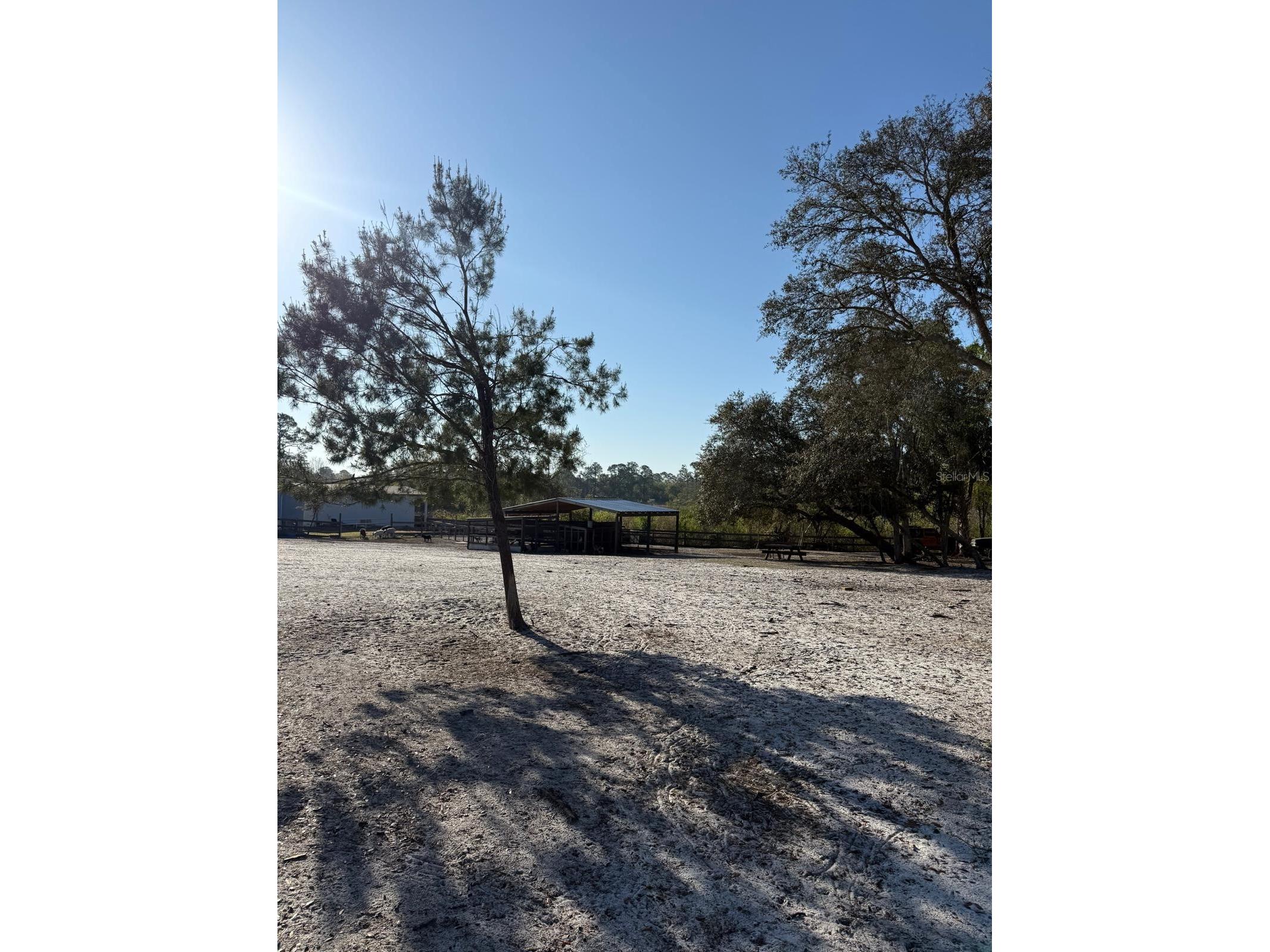 3rd Avenue Deland FL 32720 O6392574 image10