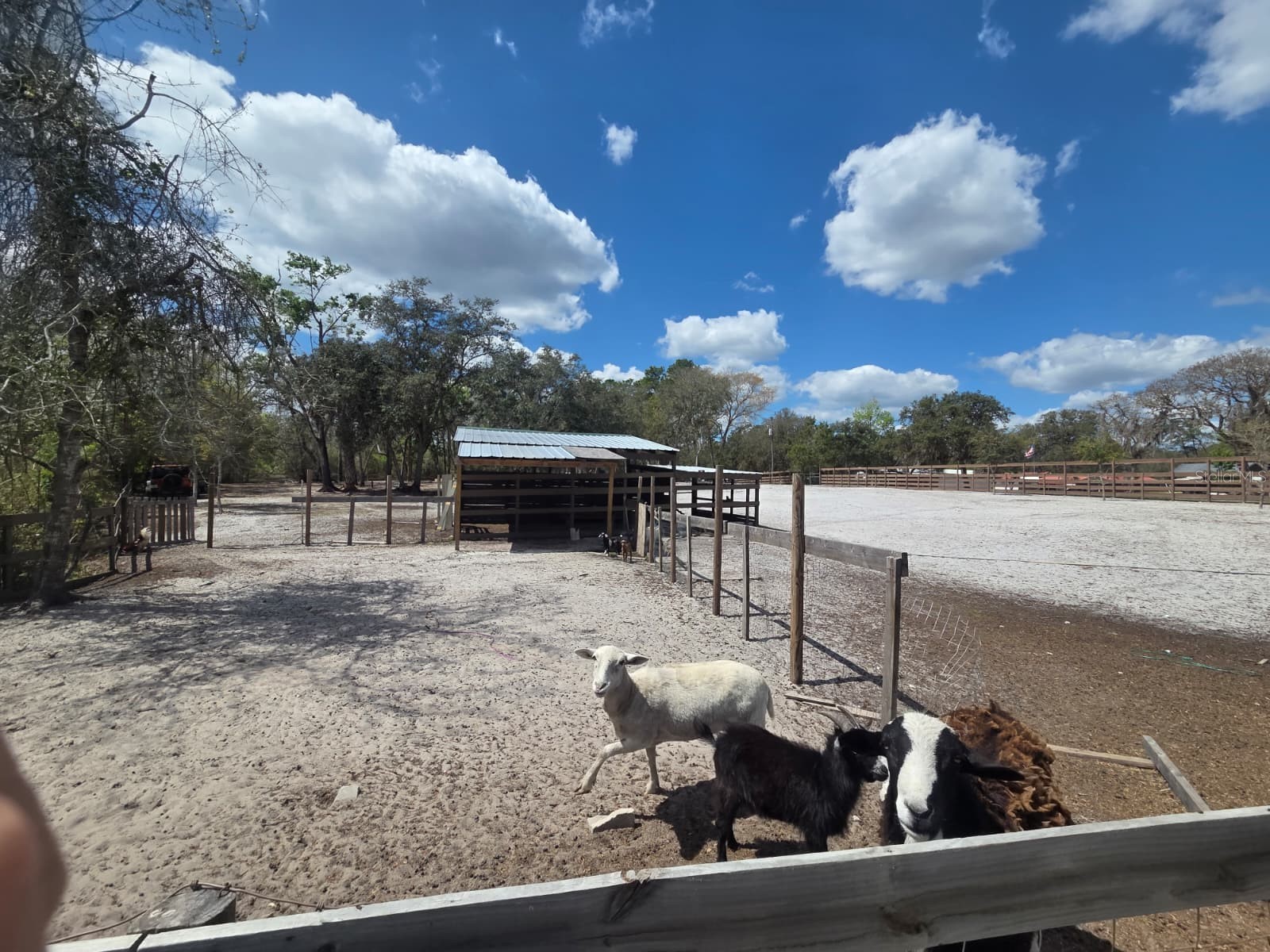 3rd Avenue Deland FL 32720 O6392574 image12