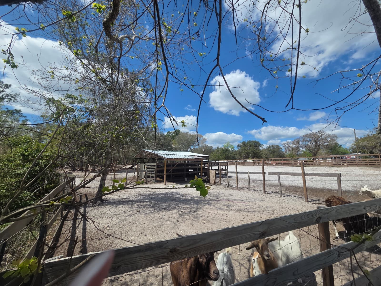 3rd Avenue Deland FL 32720 O6392574 image13