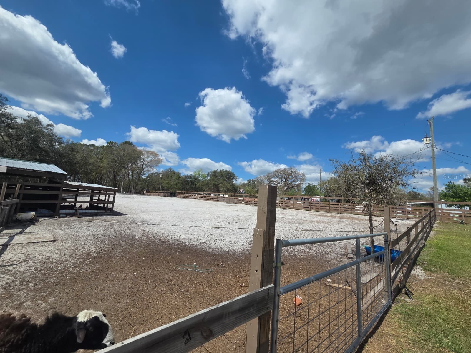 3rd Avenue Deland FL 32720 O6392574 image14