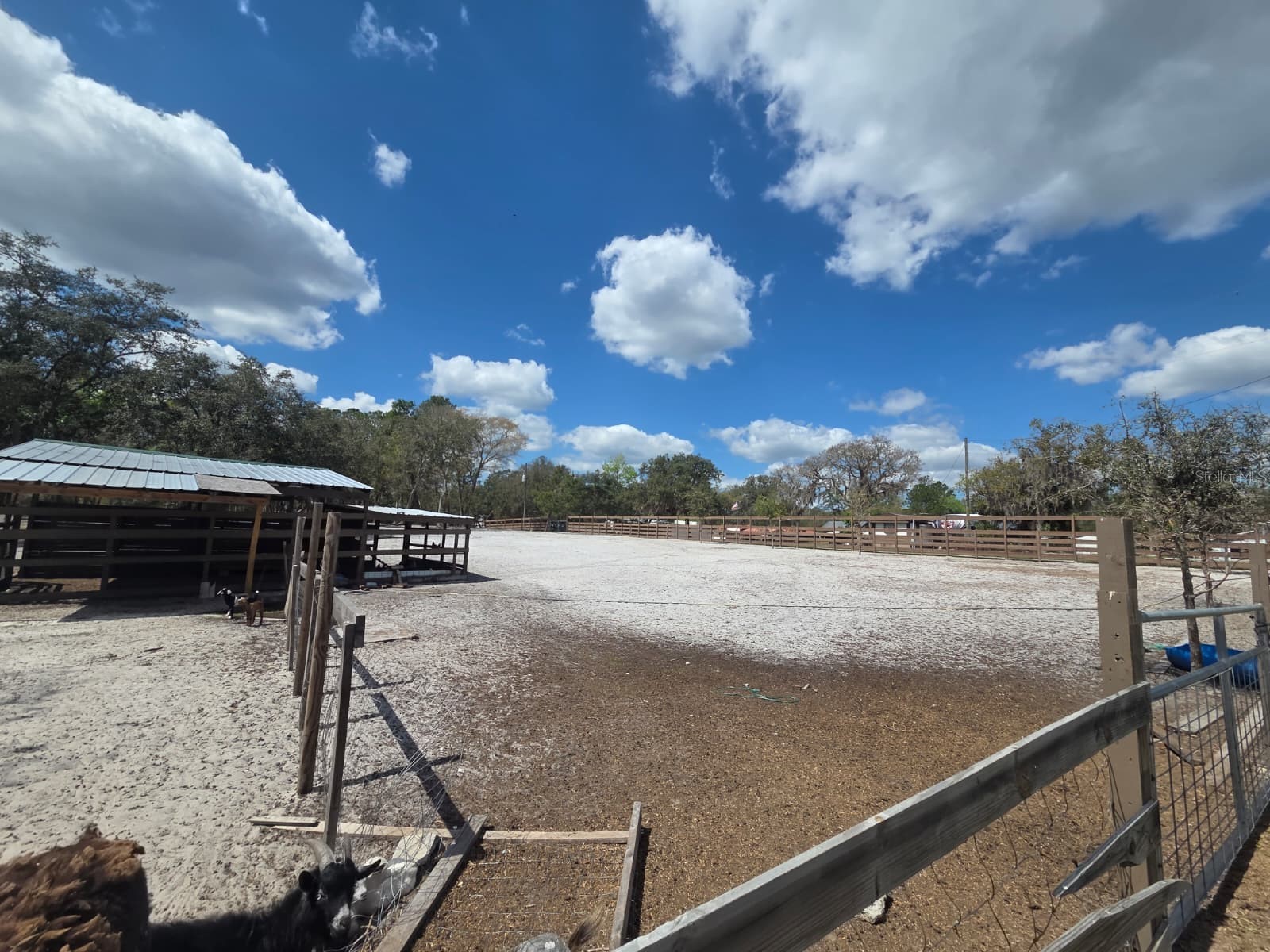 3rd Avenue Deland FL 32720 O6392574 image15