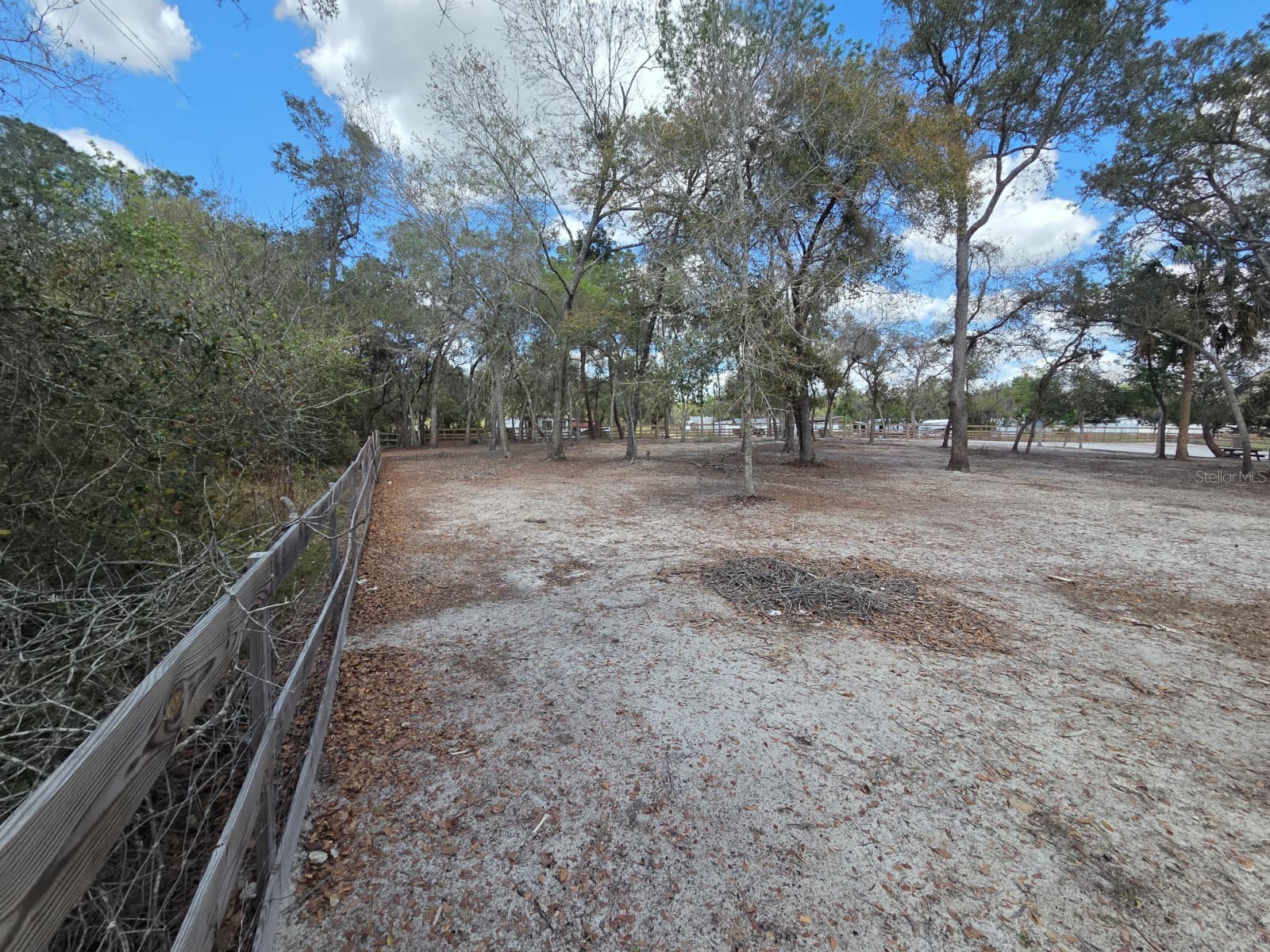 3rd Avenue Deland FL 32720 O6392574 image20